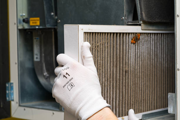 Best Ventilation Cleaning Services  in Crowley Lake, CA